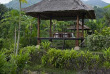 Indonésie - Bali - Candidasa - Alila Manggis - Jardin aromatique