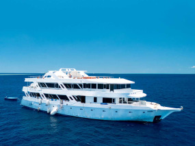 Maldives - Croisière plongée Amis des Maldives - Oceane One © Maxime Afro