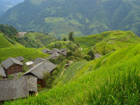 Chine - Randonnée dans les environs de Longsheng