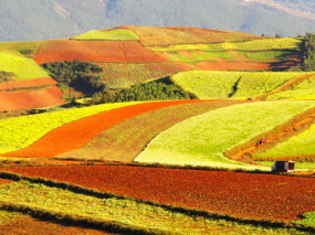 Chine - Les terres rouges du Yunnan