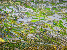 Chine - Yunnan – Les rizières de Yuanyang © Javarman – Fotolia