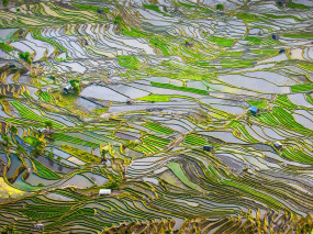 Chine - Yunnan – Les rizières de Yuanyang © Javarman – Fotolia