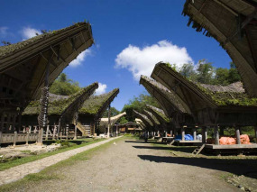 Indonésie - Sulawesi - Village Toraja de Sulawesi © Erikdegraaf – Fotolia