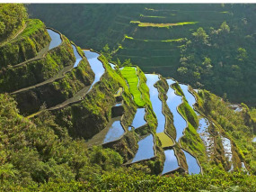Philippines - Les rizières de Banaue © ONT Philippines
