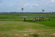 Cambodge - Les rizières du Cambodge