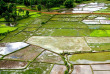 Cambodge - Phnom Penh - Nature cambodgienne à Koh Dach © Pandaw River Cruises