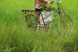 Cambodge - Phnom Penh - À vélo sur Koh Dach © Pandaw River Cruises