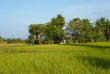 Cambodge - Croisière à bord du Mekong Pandaw - Nature cambodgienne © Pandaw Cruises