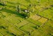 Cambodge - Croisière à bord du Mekong Pandaw - Nature cambodgienne © Pandaw Cruises