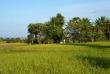 Cambodge - Phnom Penh - Nature cambodgienne à Koh Dach © Pandaw River Cruises