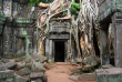 Cambodge - Siem Reap - Temple du Ta Prhom