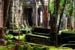 Cambodge - Siem Reap - Temple du Ta Prhom