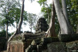 Cambodge - Le temple du Ta Phrom à Angkor