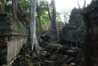 Cambodge - Le Temple du Ta Phrom à Angkor