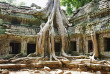 Cambodge - Siem Reap - Victoria Angkor Resort & Spa - Visite du Ta Phrom