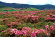 Chine - Les environs de Shangri La © Yunnan Provincial Tourism Administration