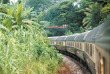 Belmond Eastern & Oriental Express - Paysage de Malaisie