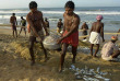 Inde - Kochi - Mararikulam - Marari Beach Resort - Scènes de vie locale