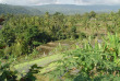 Indonésie - Sourire de Bali - Rizières