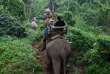 Indonésie - Balade à dos d'éléphant