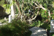 Indonésie - Bali - Mimpi Resort Menjangan