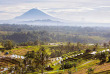 Indonésie - Bali - Rizière de Jati Luwih © My Good Images – Shutterstock