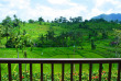 Indonésie - Bali - Sidemen - Surya Shanti Villa - Vue sur les rizières