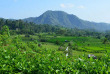 Indonésie - Bali - Sidemen - Surya Shanti Villa - La Vallée de Sidemen