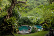 Indonésie - Bali - Ubud - Pitah Maha Resort and Spa - Jardin et bains à remous