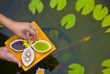 Indonésie - Bintan - Angsana Bintan - Angsana Spa