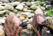 Indonésie - Papua - Séjour dans la Vallée du Baliem © Papua Explorer Tours & Expeditions