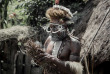 Indonésie - Papua - Les essentiels de la Vallée du Baliem © Papua Explorer Tours & Expeditions