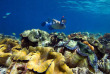 Indonésie - Raja Ampat - Papua Diving