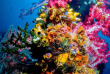 Indonésie - Raja Ampat - Papua Diving