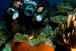 Indonésie - Raja Ampat - Papua Diving © Leon Claudia
