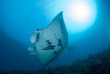 Indonésie - Raja Ampat - Papua Diving