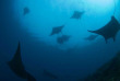 Indonésie - Raja Ampat - Papua Diving