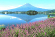 japon - Le Lac Kawaguchi et le mont Fuji © JNTO