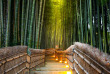 japon - Forêt de bambous de Sagano © Vichie81 - Shutterstock