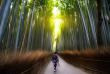 Japon - Forêt de bambous de Sagano © Patrick Foto - Shutterstock