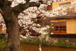 japon - Quartier de Gion © Y. Shimizu - JNTO