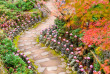 japon - Un sentier de Miyajima © Sean Pavone - Shutterstock