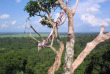 Laos - Circuit Le Sud authentique - Bane Khiet Ngong, Kingfisher Lodge