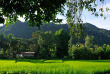 Laos - Descente du Mekong et villages de minorités - Vue sur les rizières