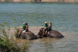 Laos - Le bain des éléphants