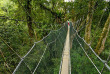 Malaisie - Le Mont Kinabalu - Les ponts suspendus de Poring