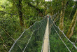 Malaisie - Circuit Les Trésors de Bornéo - Les ponts suspendus de Poring
