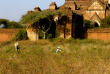 Myanmar - Bangan - Paya Dhammayangyi