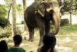Népal – Visite au Camp des éléphants © Machan Country Villa