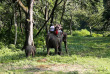 Népal - Safari à dos d'éléphant dans le Parc national du Chitwan © Kasara Resort